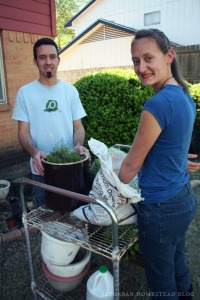 Joel and Abby hard at work, potting plants. 